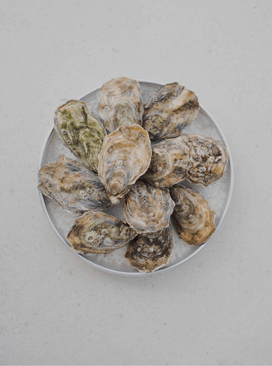 Gaudir d'ostres amb vistes al mar a Barcelona | Restaurant Nuara