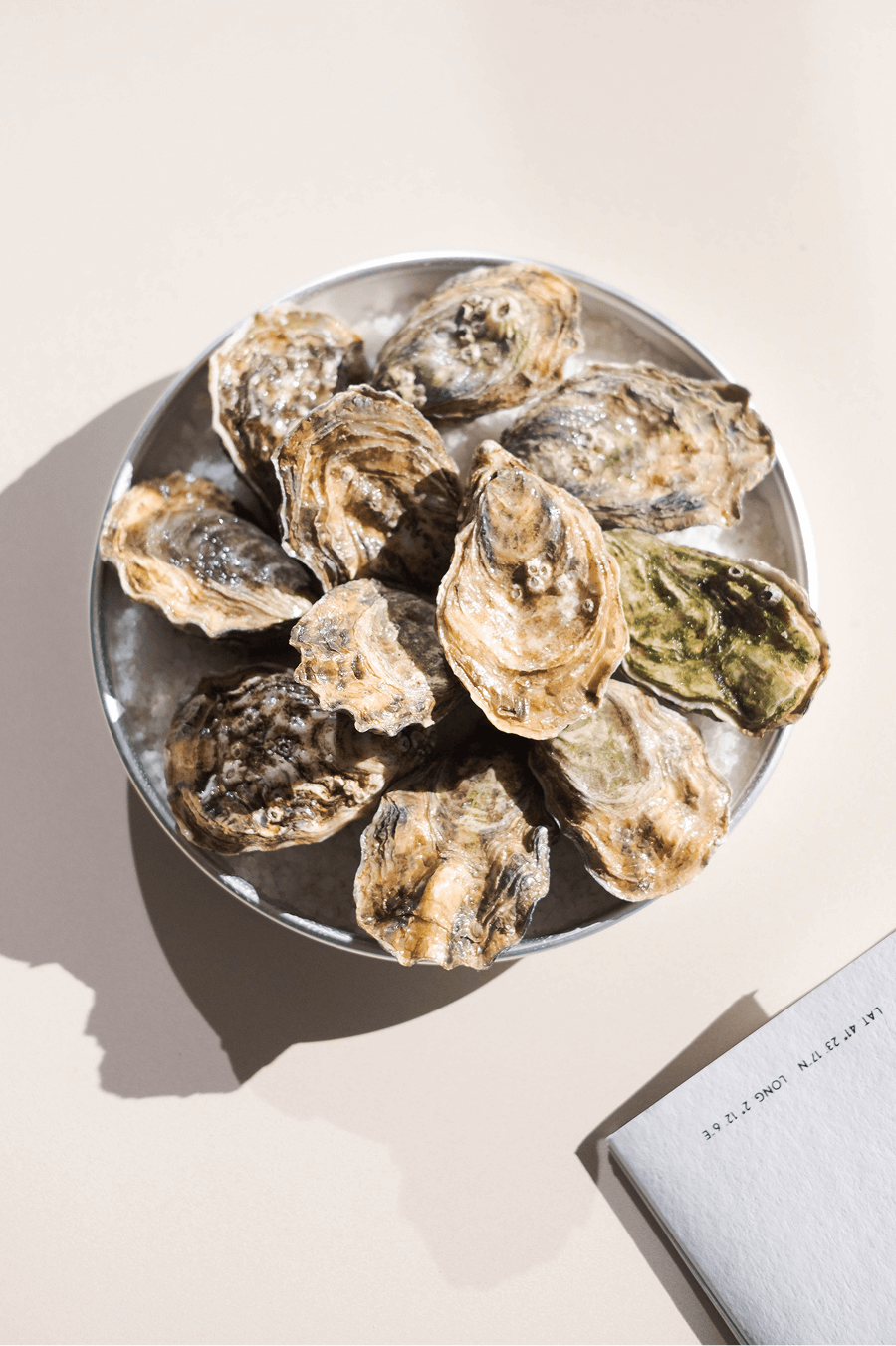 Menjar ostres amb les millors vistes del Port Olímpic | Restaurant Nuara